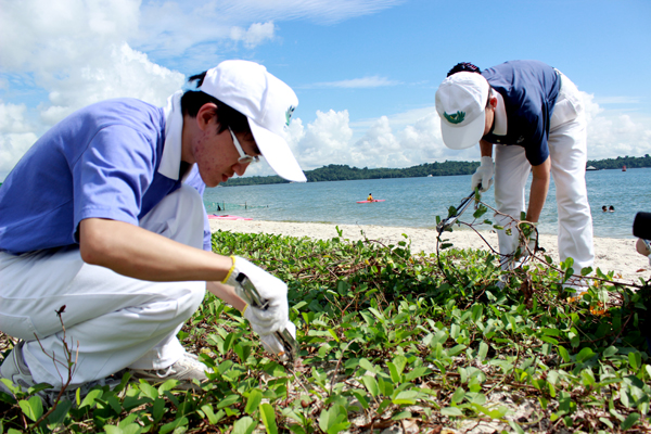 Beach Cleaning, Mind Cleansing